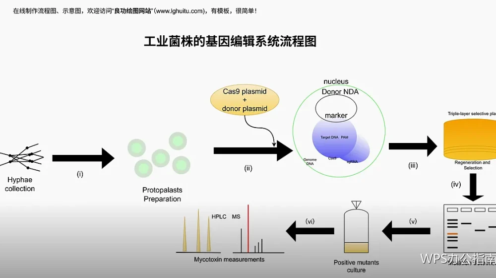 打印前必做5项检查：避免浪费纸张和返工