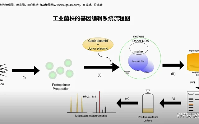 打印前必做5项检查：避免浪费纸张和返工