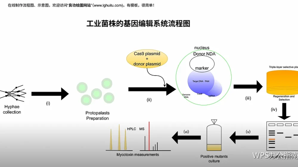 文档分节：同一份文件里横竖混排的做法