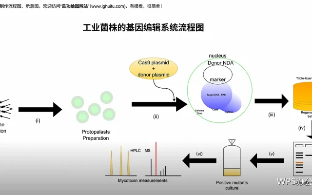 文档分节：同一份文件里横竖混排的做法
